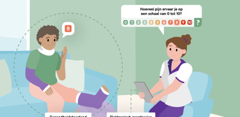 Preview infographic 'Verslaglegging en het verpleegkundig proces' 