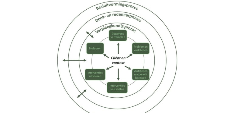 Op deze afbeelding zie je hoe klinisch redeneren eruitziet in een schema. 