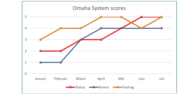 Op deze afbeelding zie je een voorbeeld van een grafiek, met daarin de verschillende scores. 