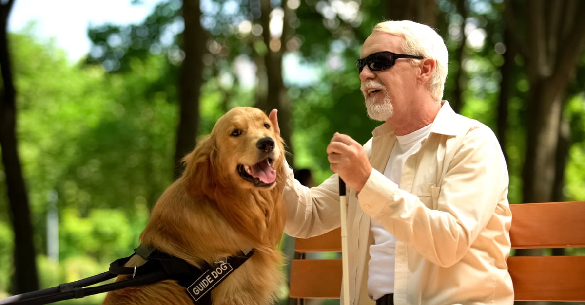 Tips omgaan met mensen met een auditieve/visuele beperking